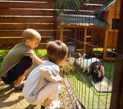 River-6 BLACK | Банный чан в Барские Поля