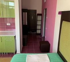 Сингл Делюкс  с балконом и видом на сад и горы в Диса