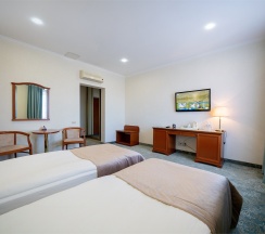 Deluxe Twin в Берёзка