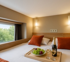 Комфорт Двухуровневый Мини в Metro apartments