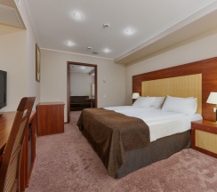 Номер стандарт улучшенный в Marins Park Hotel Москва Пражская
