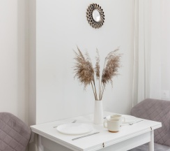 1-комнатные апартаменты улучшенные в Banerjee Apartments