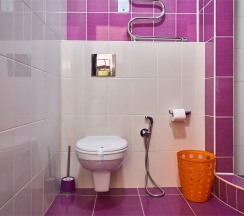 3-х местный без балкона в Диса