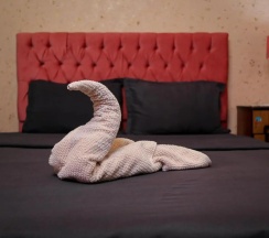 Двухместный номер двуспальная кровать в Castle Hotel