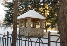 Отель Старые друзья в Белокурихе