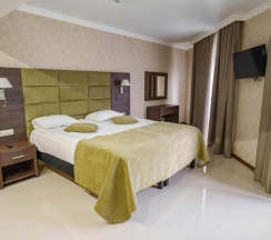 Люкс №35 с кухней в Орлиное гнездо