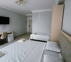 Трехместный номер Делюкс в Кавказ