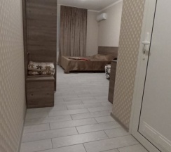 Номер Luxury в Ленинградская