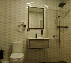 Полулюкс (DBL/SGL)  в Никольское