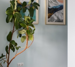 Alpen Sunrise в Апартаменты Dao dé Rooms