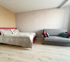 1-комнатные апартаменты стандарт в Neva Bed (Нева Бэд) на проспекте Обуховской обороны