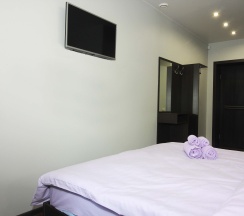 Двухместный номер Делюкс с 1 кроватью в City hostel