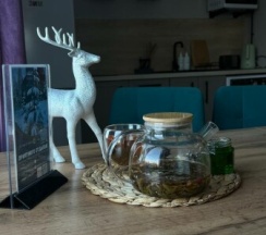 Зеленый Дом в Valenki