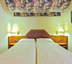 Двухместный номер Standard двуспальная кровать в Hotel Viktoria