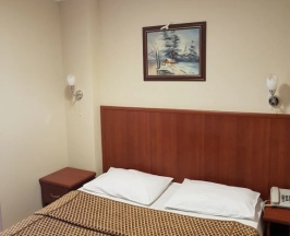 Одноместный номер Standard в Seckin Ak Hotel