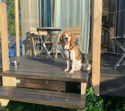 Двухместный Дом с террасой На берегу реки возле пирса с видом на реку двуспальная кровать в Semvoda