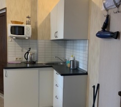 Классический номер Студио без балкона на 2 человека в Апартаменты на Тюльпанов