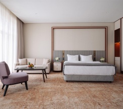 Номер делюкс Элегант с 1 двуспальной кроватью в Источник