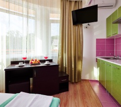 Сингл Делюкс без балкона с видом на сад и горы в Диса