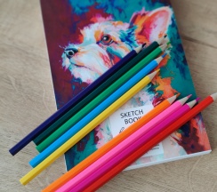 Квартира в Fly Altay