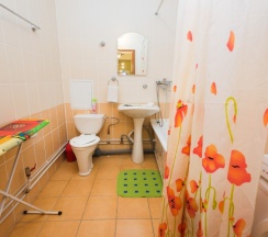 стандарт \ в Алеся