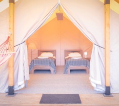 Глэмпинг в Ковчег