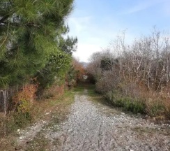 Номер Deluxe в La Mer