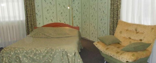Номер люкс с 1 двуспальной кроватью в Новый континент