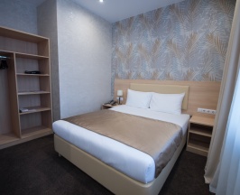 Двухместный полулюкс двуспальная кровать в Silver house