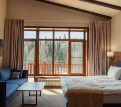 Номер Superior в Kedrovka