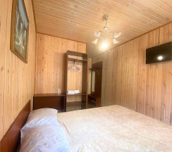 Двухместный стандартный номер (основной корпус) в Ирбис