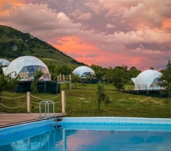 ВИП+ в The Garden