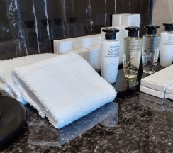 Люкс Амбассадор в Soluxe Hotel Moscow