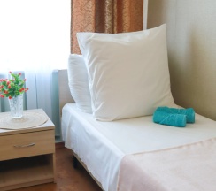 Одноместный номер Economy в Maxrooms дача Левитана под Плёсом