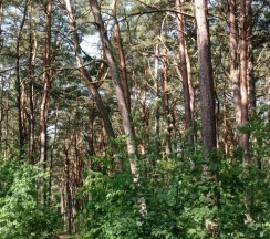 Коттедж улучшенный в Домик у моря