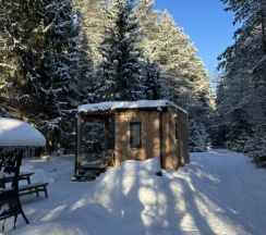 "Сосна" в След Лося