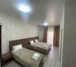 Номер люкс премиум в Анастасия