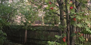 Одинцовский городской округ: Отель Ежик