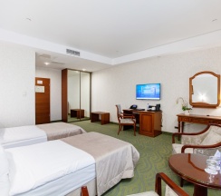 DELUXE TWIN PREMIUM в Видгоф