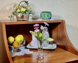 Стандарт с балконом и 2 кроватями в Сигнал