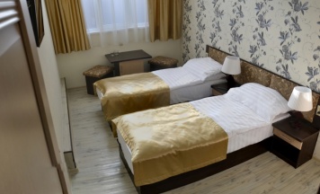 Двухместный номер "Комфорт" с одной двуспальной кроватью или двумя односпальными кроватями	 в Эстет