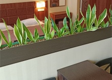 Апартаменты с просторной спальней, обеденной зоной и балконом в My Favourite Garden Hotel