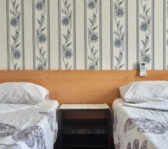 Двухместный номер Standard с балконом и с красивым видом из окна 2 отдельные кровати в Ореховый