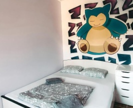 Номер стандарт с 1 двуспальной кроватью в 40 Подушек