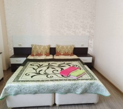 Двухместный номер класса "Стандарт" со всеми удобствами в Ника