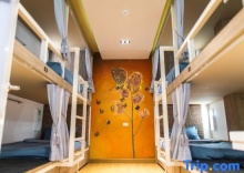 Кровать в общем номере (женский номер) в Stay With Hug Poshtel & Activities