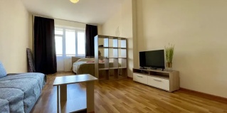 Борисовичи: Апартаменты Квартира Pskov City 3 Mikhailovskaia 1