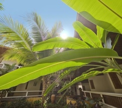 Двухместный номер Classic 2 отдельные кровати в Thai House Beach Resort