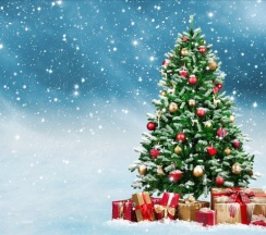 номер люкс двухкомнатный  в Green village