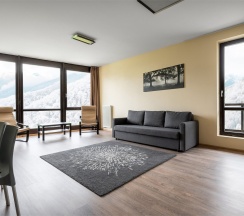 Улучшенные апартаменты с 1 спальней в Skypark